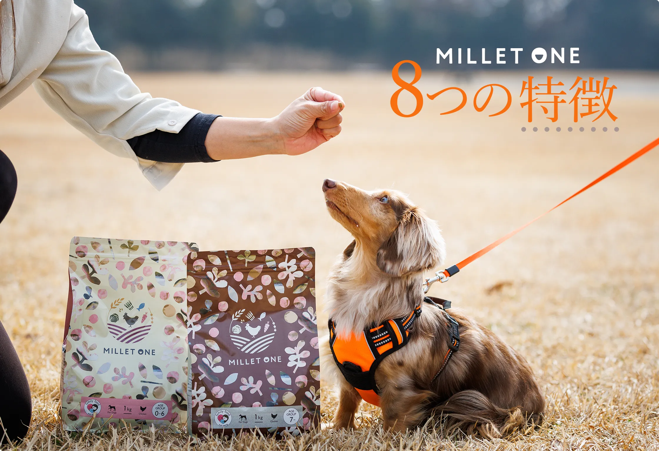 MILLET ONE 8つの特長