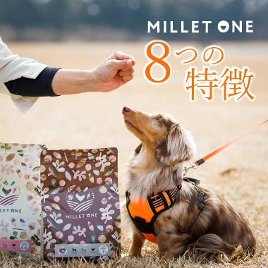 MILLET ONE 8つの特長