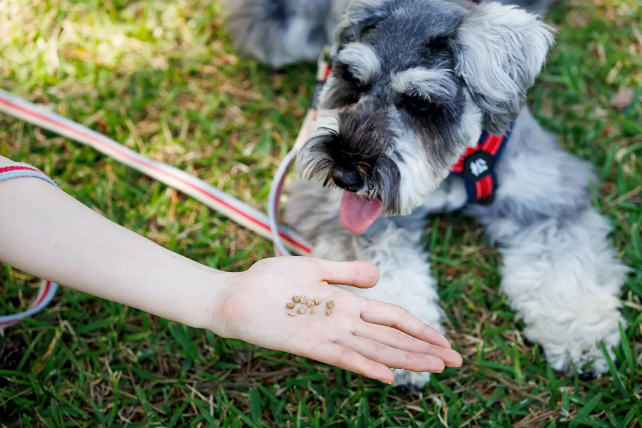 ミレワンの粒を割って犬にあげる様子